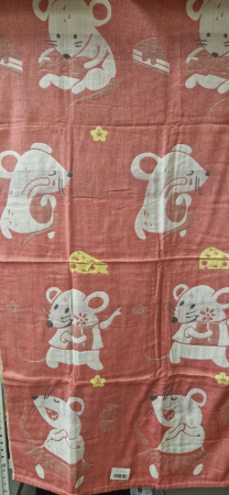 photo_2025-04-10_11-35-02