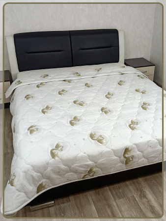Одеяло Soft Premium DownFill